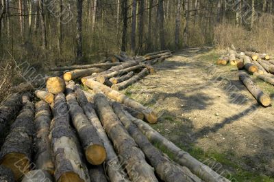 wooden logs