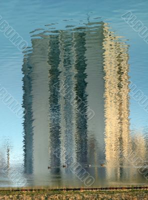 building reflection