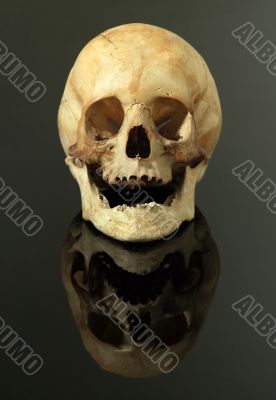 skull