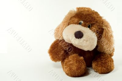 Toy dog