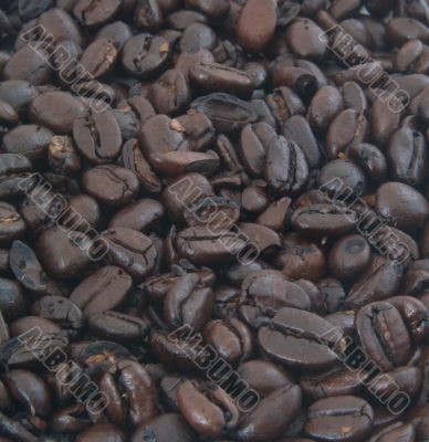  coffee beans