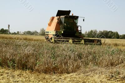 Combine harvester