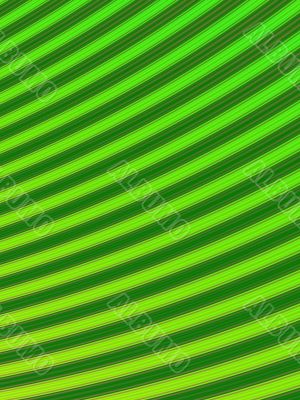 Green Lawn