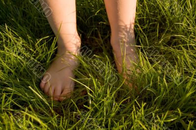 foot in grass