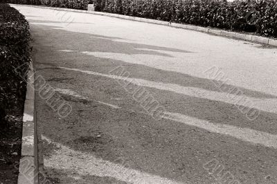 road in perspective