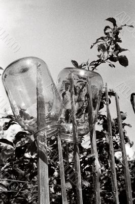 glass containers