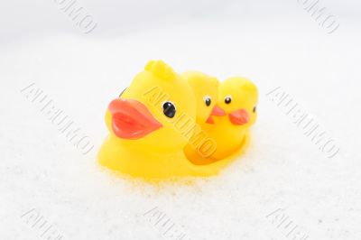 Three rubber ducks in foam water #3