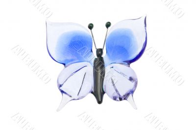 Glass blue butterfly isolated on white