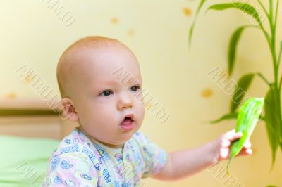 Baby keep leaf of home plant