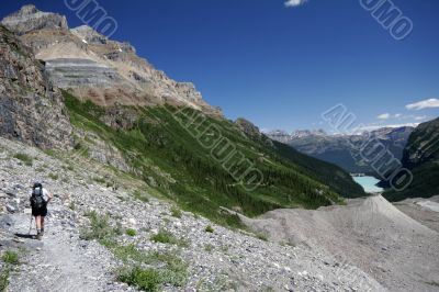 Woman Hiker on the Trail