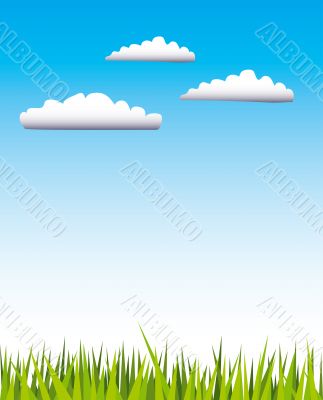 Summer meadow