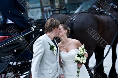 We and the horses