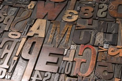 Wood type 2