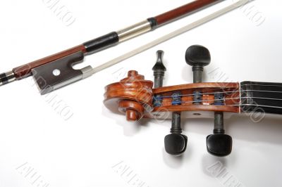 Violins grif