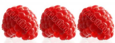 The red raspberry.