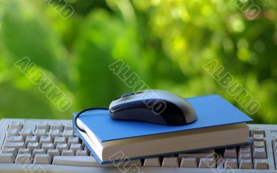 Mouse with book and keyboard