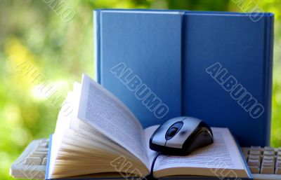 Mouse with book and keyboard