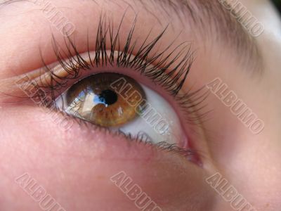 Brown eye
