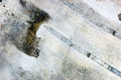 birch bark