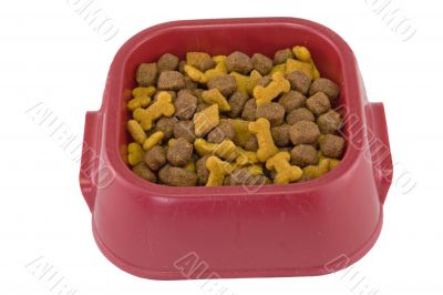 dogfood bowl on white