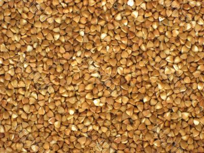 Heap buckwheat