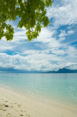 tropical landscape