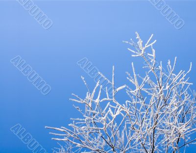winter background