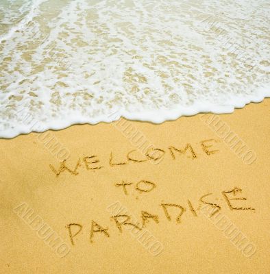 welcome to paradise