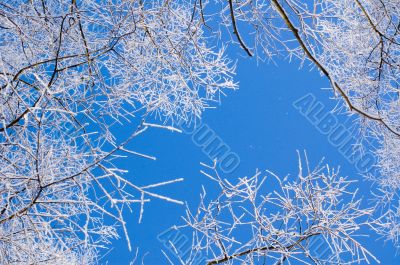winter background
