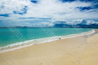 tropical beach