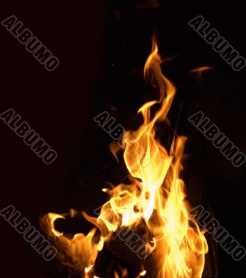 fire