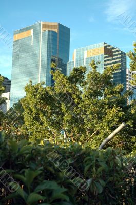 skyscrapers in jungle