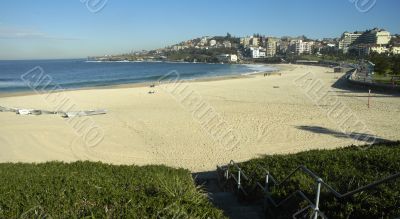 coogee beach