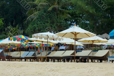 beach chairs and umbrellas