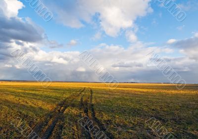 rural scene