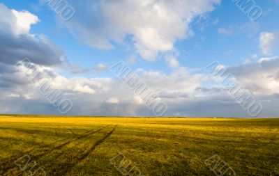 rural scene