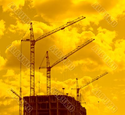 construction cranes in sunset lights