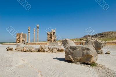 Columns of ancient city of Persepolis