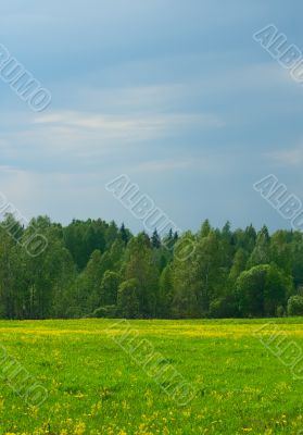 rural landscape