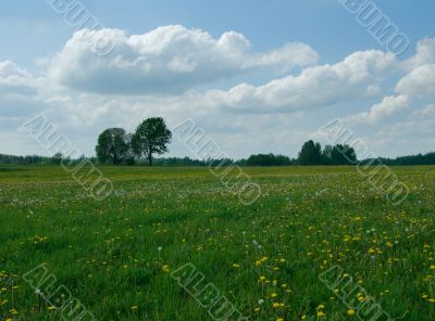 rural landscape