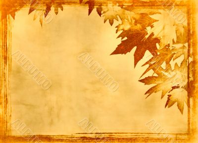 grunge frame