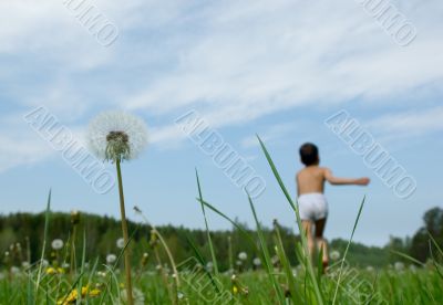 summer fun