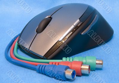 The mouse