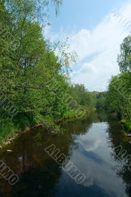 bank of the river, green grass and blue sky