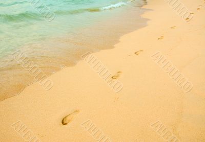 footprints in the beach