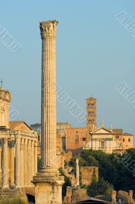 Ruins of Rome