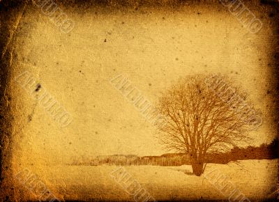 grunge frame with tree silhouette