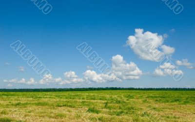 green field and blue cloudy sky background