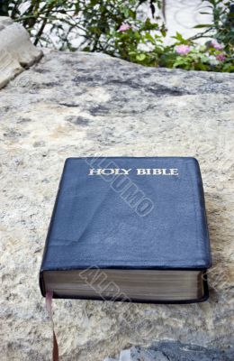 Holy Bible