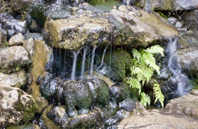 A lovely Little Waterfall